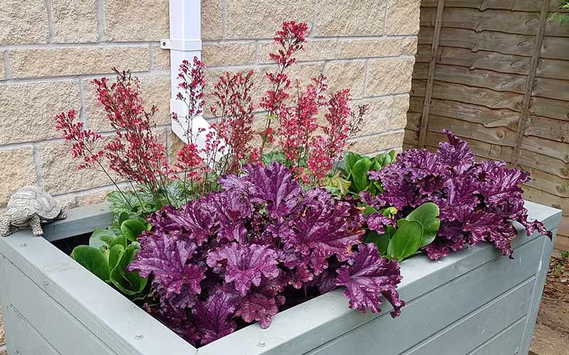 SuDS Planter Residential Wiltshire Residential Property SuDS Planter Community Planter Tongwynlais Housing Development