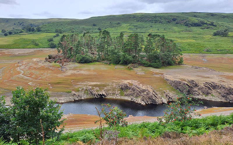 How sustainable drainage can boost drought resilience